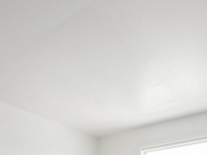 رش أمريكي للأسقف بلون أبيض ناصع